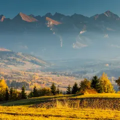 Złociste pola i jesienne drzewa na tle mglistych Tatr. Idealny punkt widokowy Zakopane.
