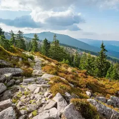 Kamienista ścieżka w górach Karkonoszach, w okolicy Szklarskiej Poręby. W oddali widać kolejne pasma górskie.