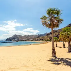Piękna plaża na Teneryfie, idealna pogoda we wrześniu. Palmy, złoty piasek i turkusowe morze.