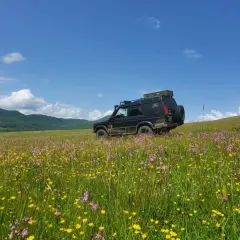 Czarny SUV na tle kwiecistej łąki i gór. Niezapomniane beskidy atrakcje czekają na odkrycie.