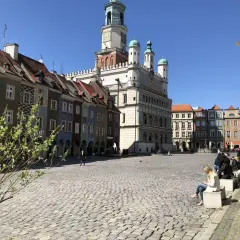 Kolorowe kamienice i Ratusz na Starym Rynku w Poznaniu. Idealne miejsce na zwiedzanie Poznania w jeden dzień.