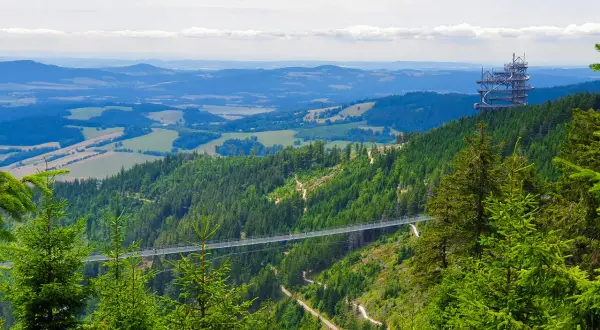 Widok na najdłuższy most Czech, zawieszony nad zieloną doliną. W oddali widać wieżę widokową.