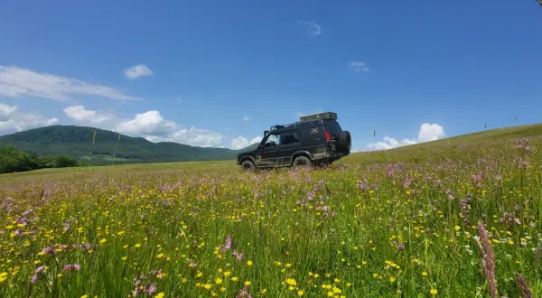 Czarny SUV na tle kwiecistej łąki i gór. Niezapomniane beskidy atrakcje czekają na odkrycie.