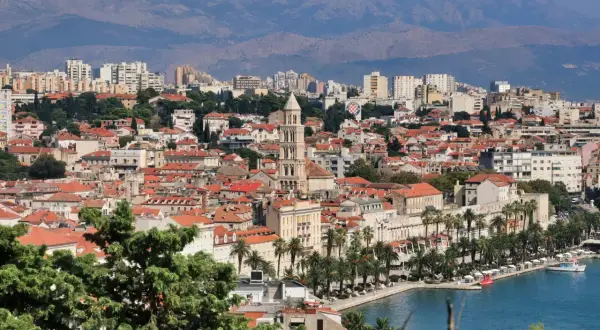Widok na miasto Split z palmami i morzem. W oddali góry. Mnóstwo atrakcji turystycznych czeka na odkrycie.