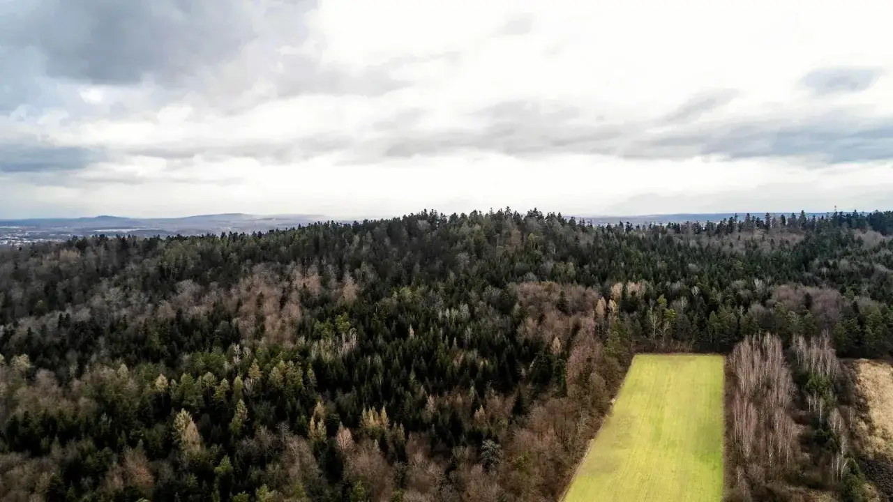 G&oacute;ry Świętokrzyskie szczyty widać z lotu ptaka, porośnięte gęstym lasem. Na pierwszym planie zielone pole.