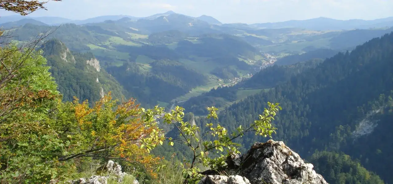 Widok z g&oacute;ry na dolinę i g&oacute;ry Pienin, w oddali widać Trzy Korony.