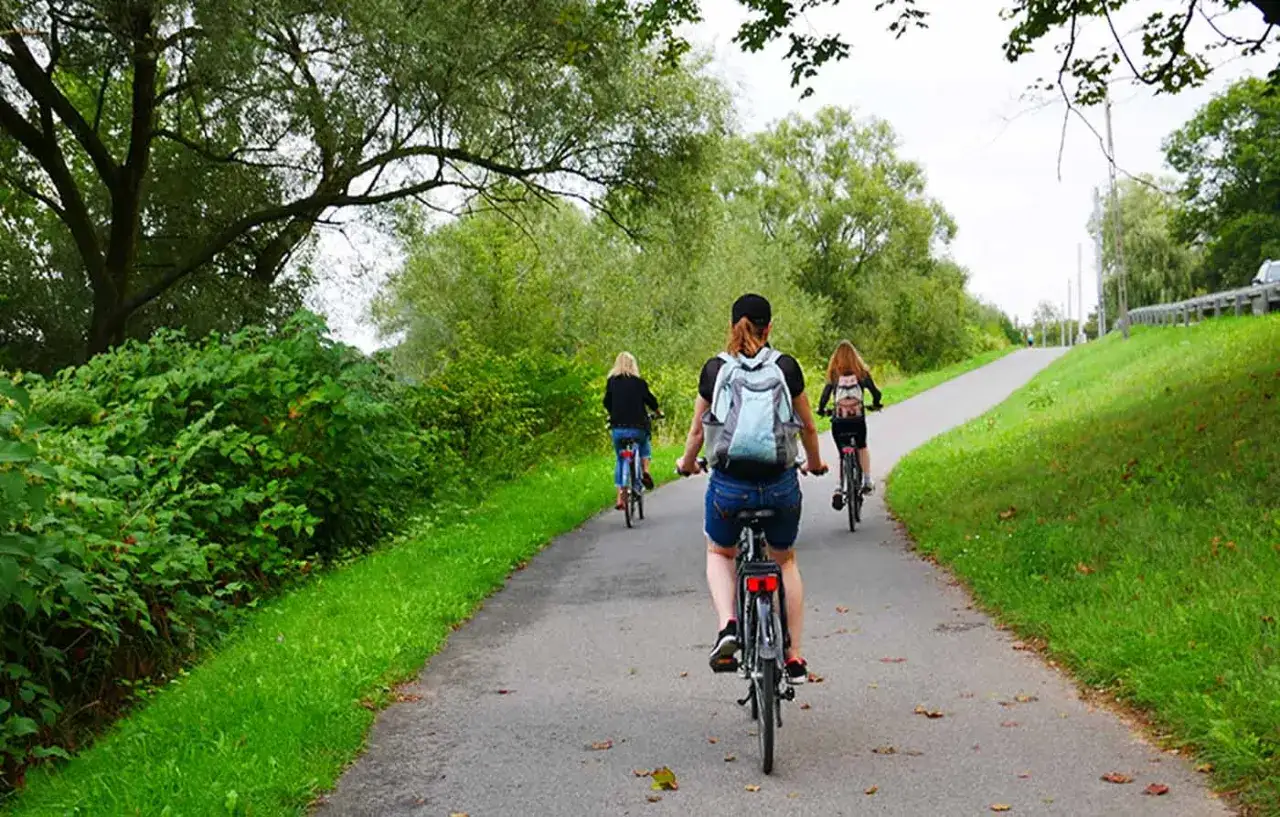Trzy osoby na rowerach jadą ścieżką wzdłuż zielonych teren&oacute;w. To idealny dzień na velo Wisła!