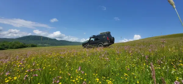 Czarny SUV na tle kwiecistej łąki i gór. Niezapomniane beskidy atrakcje czekają na odkrycie.